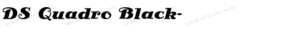 DS Quadro Black字体转换